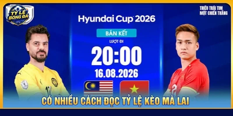 Có hai cách đọc tỷ lệ kèo Mã Lai giúp người chơi dễ dàng đối chiếu