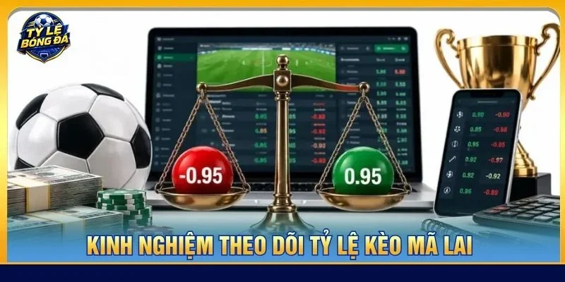 Kinh nghiệm theo dõi tỷ lệ kèo Mã Lai sẽ giúp bạn tăng khả năng thắng cược