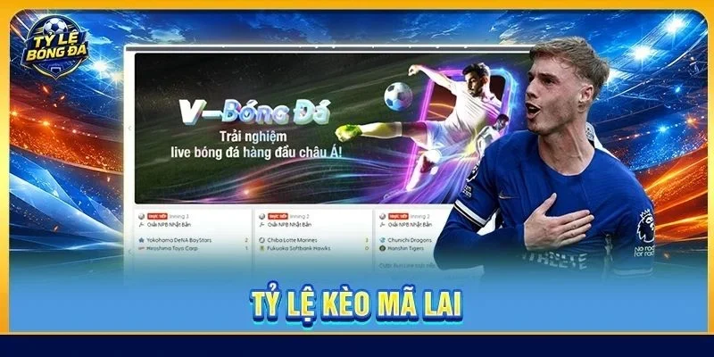Tỷ Lệ Kèo Mã Lai Có Gì Đặc Biệt? Hướng Dẫn Đọc Kèo Chi Tiết