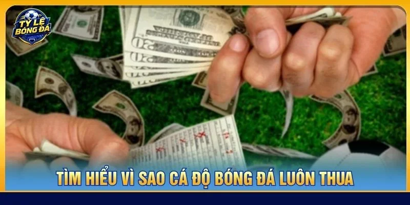 Vì sao cá độ bóng đá luôn thua là chủ đề được nhiều người chơi quan tâm hiện nay