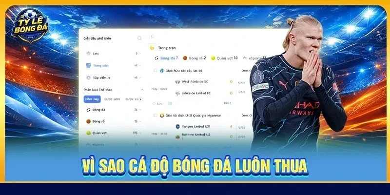 Vì Sao Cá Độ Bóng Đá Luôn Thua - Lý Do Khiến Bet Thủ Mất Tiền